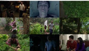 Download Journey 2: The Mysterious Island (2012) BluRay 1080p 5.1CH 1.40GB x264 Ganool